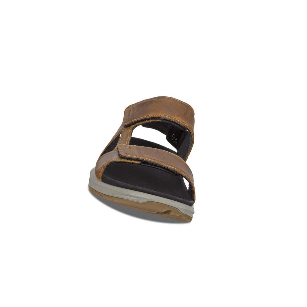 Men's Ecco X-trinsic Flat Sandals Brown | Canada 592LIS